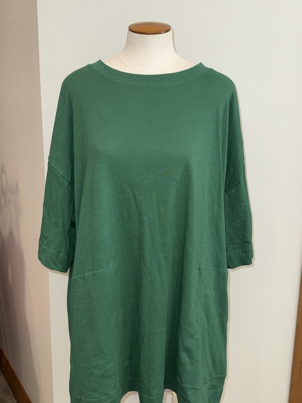 Free People FP Beach Green Tunic NWT